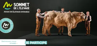 Sommet de l'élevage Courmon d'Auvergne